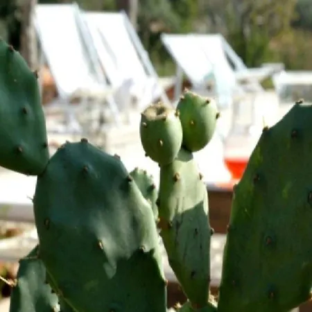 Masseria Montefieno *